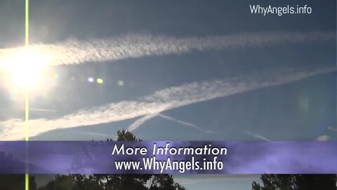 Why in the World Are They Spraying?