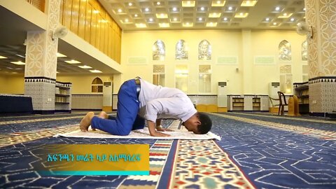የሰጋጆች ስህተት 01 (አፍንጫን መሬት ላይ አለማሳረፍ) #ሶላት #ኢባዳ #ኢስላም