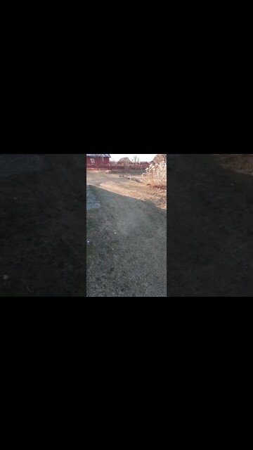 если на участки найдут нефть