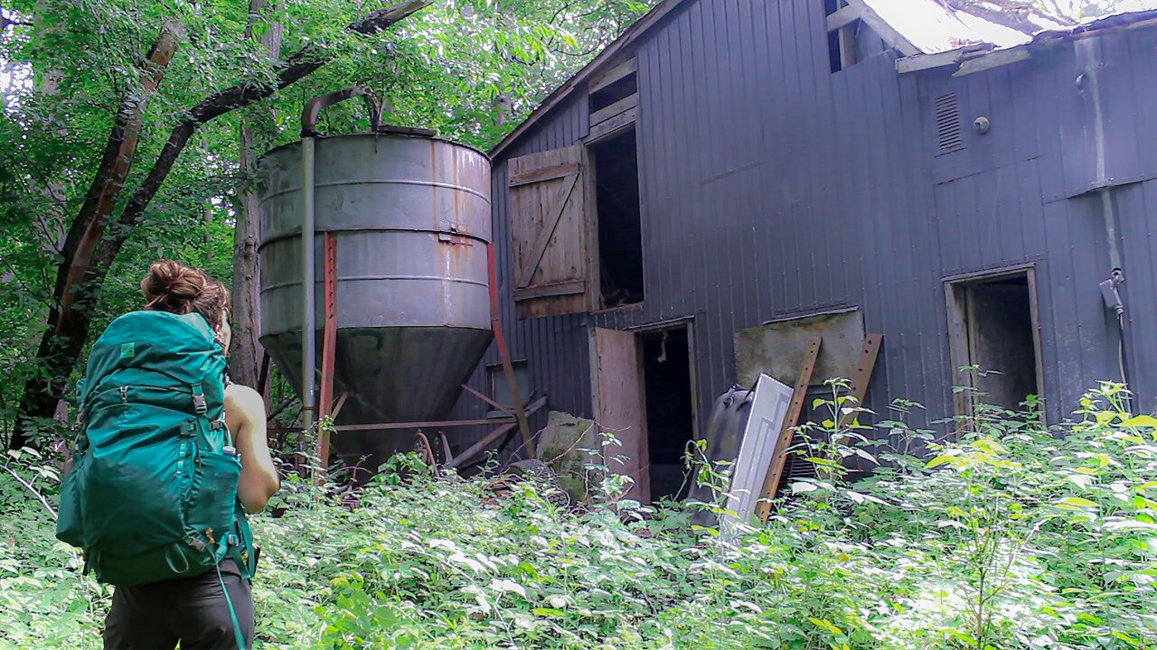 Camping at an Abandoned Pig Farm