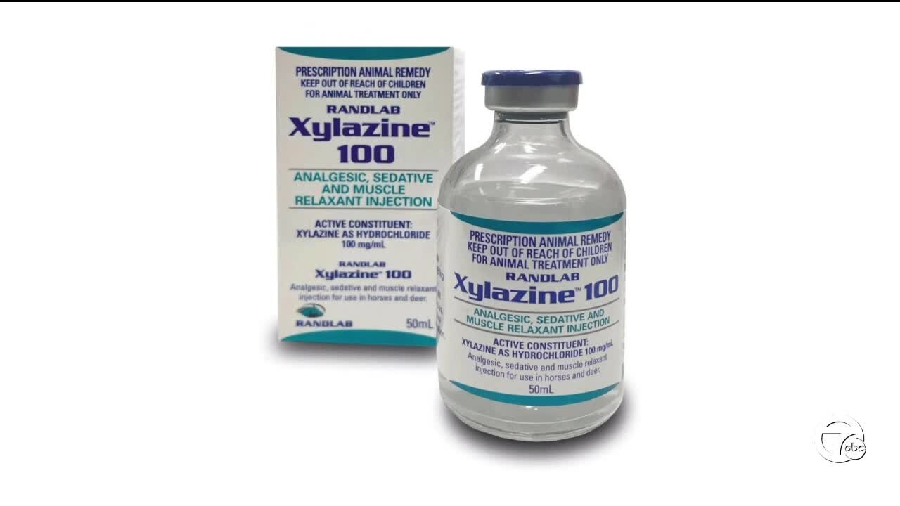 Animal tranquilizer linked to at least 171 opioid deaths in Michigan since 2019