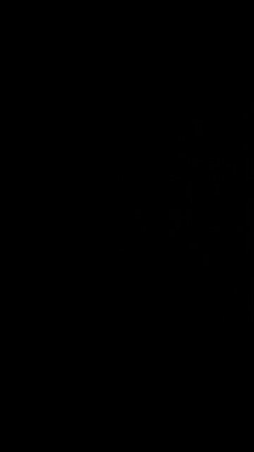 Illegal immigrants storming the border