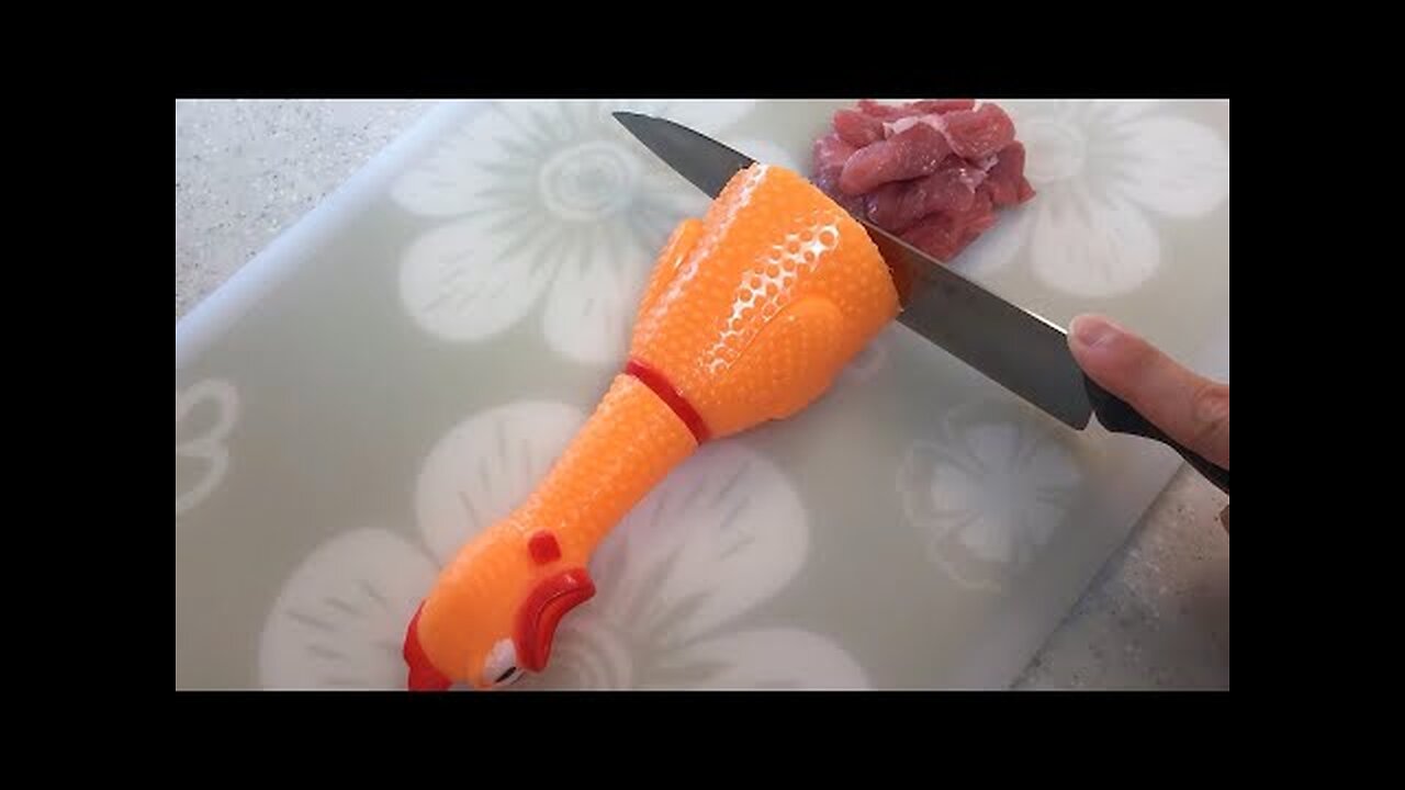 Rubber Chicken Stop Motion Cooking. Stew