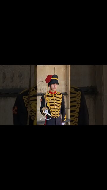 Kings troop stands guard #horseguardsparade