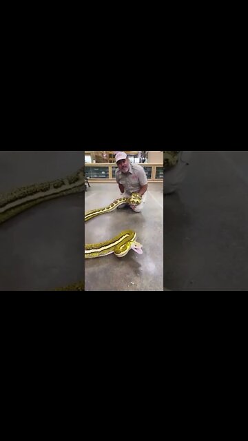 #shorts #2022 funny,prank,funjokes,dad jokes,funny memes,funny video,fun,laughing,funny animal,knock