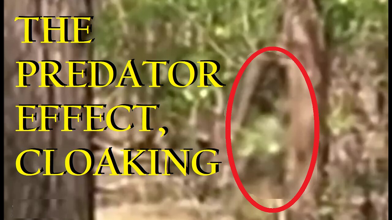 CLOAKING #2 - PREDATOR EFFECT