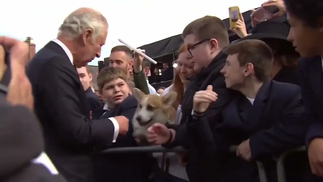 Corgi greets King Charles III in Belfast, Northern Ireland.