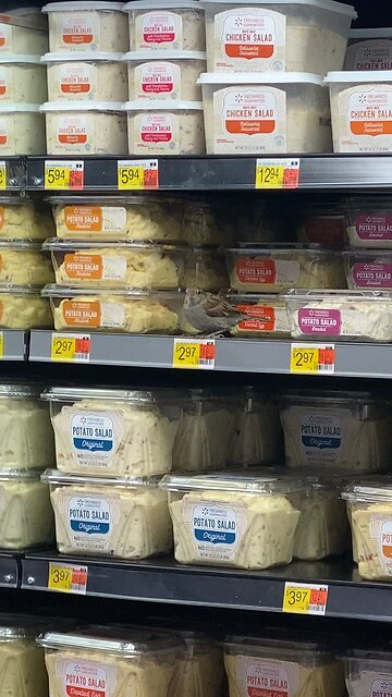 Wally makes a Home in Walmart