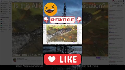 Shorts Alligator Loki Twitch Superstar