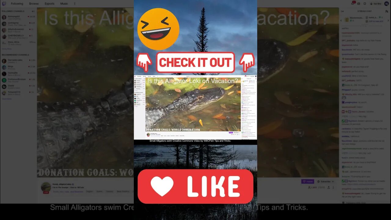 Shorts Alligator Loki Twitch Superstar