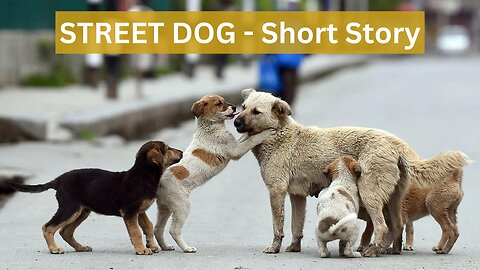 Street Dog Finds Home - Short Story