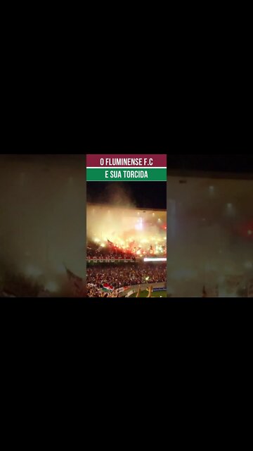 FLUMINENSE E SUA TORCIDA #shorts
