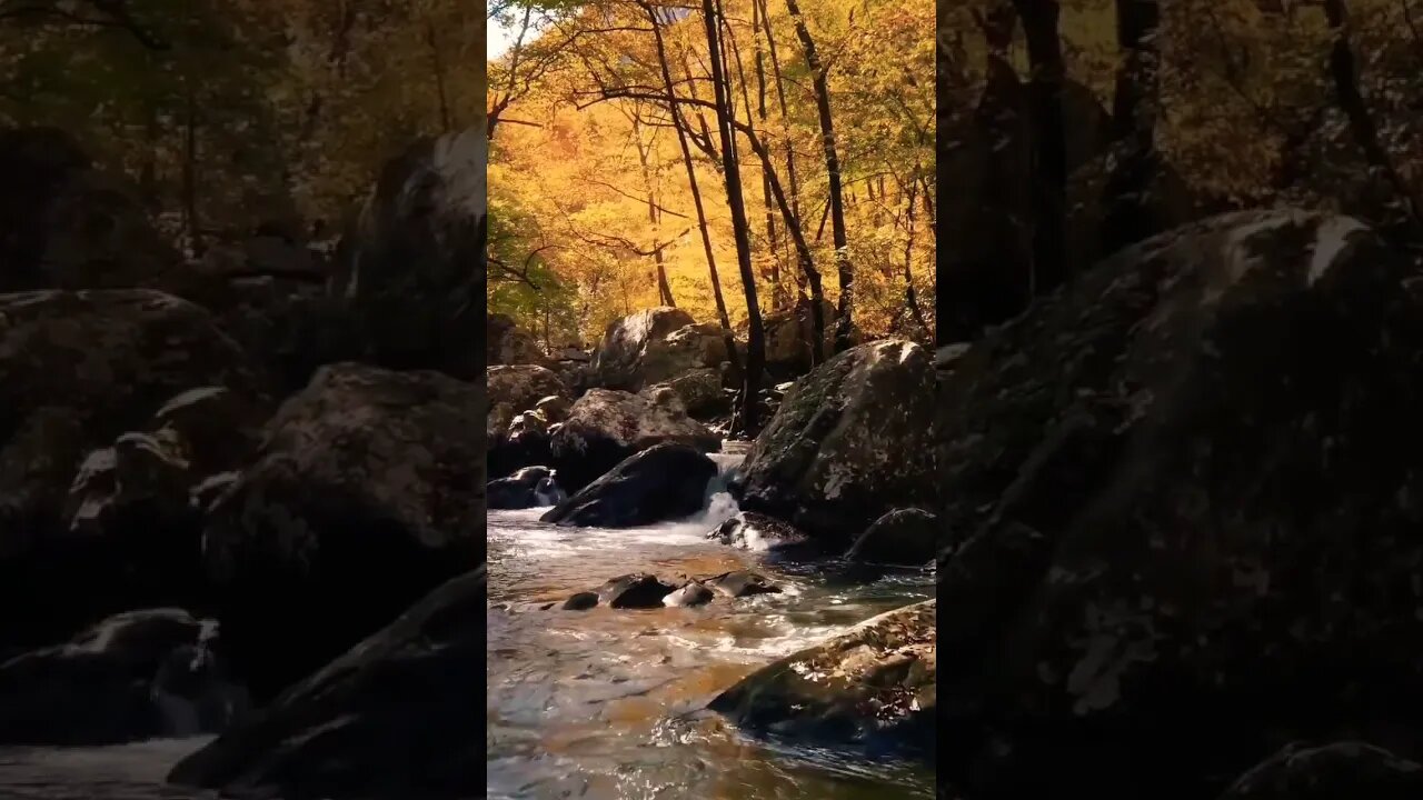 #waterflowing#autumn#amazing#beautiful#calming#beautifulautumn#colors#nature#naturephotography