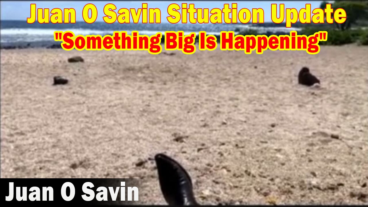 Juan O Savin Situation Update 5.09.23: "Something Big Is Happening"