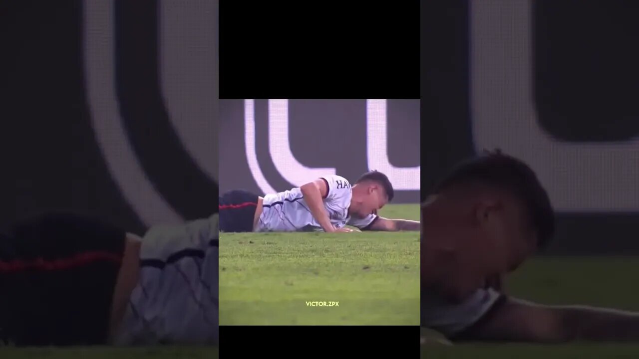 OS PITIBULLS DO FLAMENGO!!!