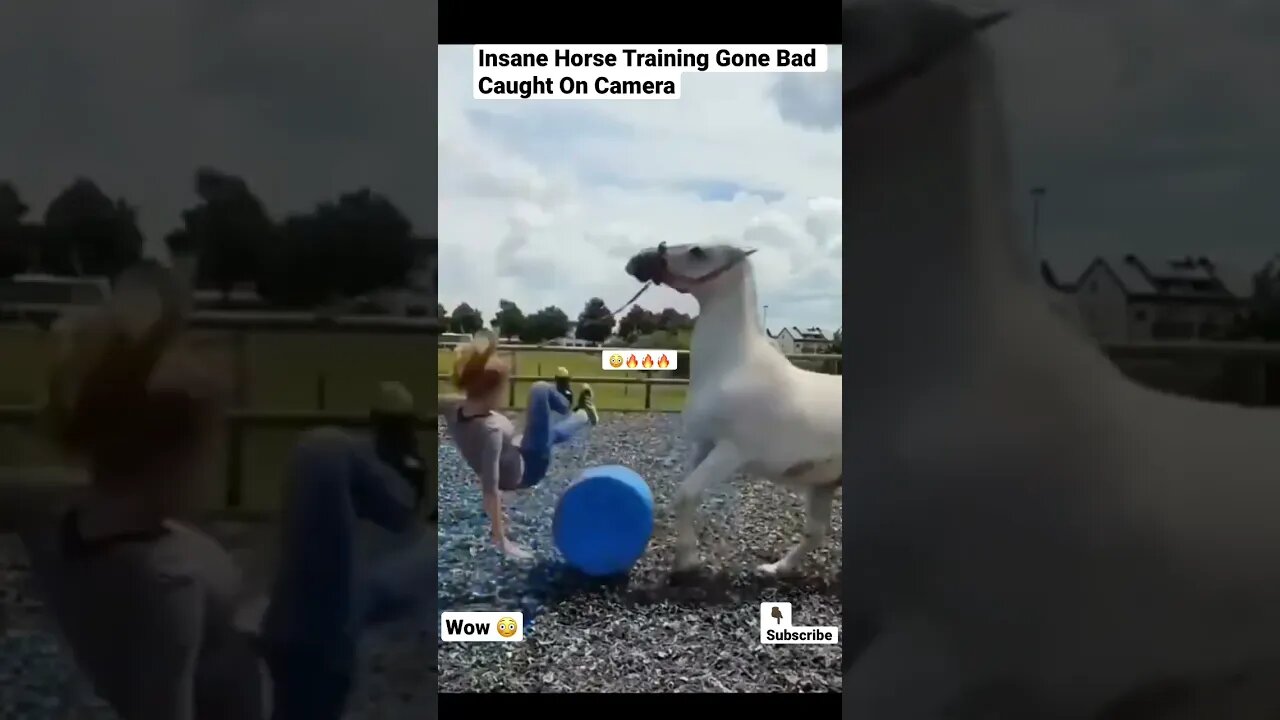 Insane Horse Training Gone Bad Caught On Camera #shorts #animals #animaltraining #horse #pets