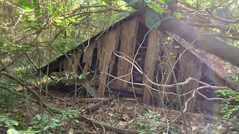 Forgotten Village Deep In The Forest - Part 1