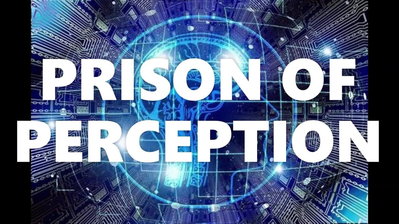 PRISON OF PERCEPTION