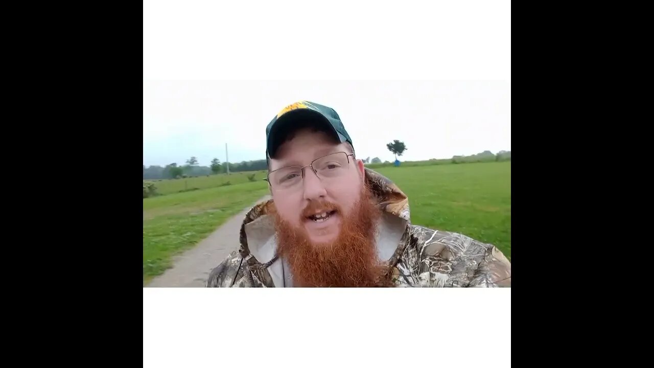 Life Lessons with the Chickens: Freedom and Saftey.