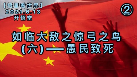 KWT1929(2)愚民致死——如临大敌之惊弓之鸟(六)20210613-9【悟里看世界】