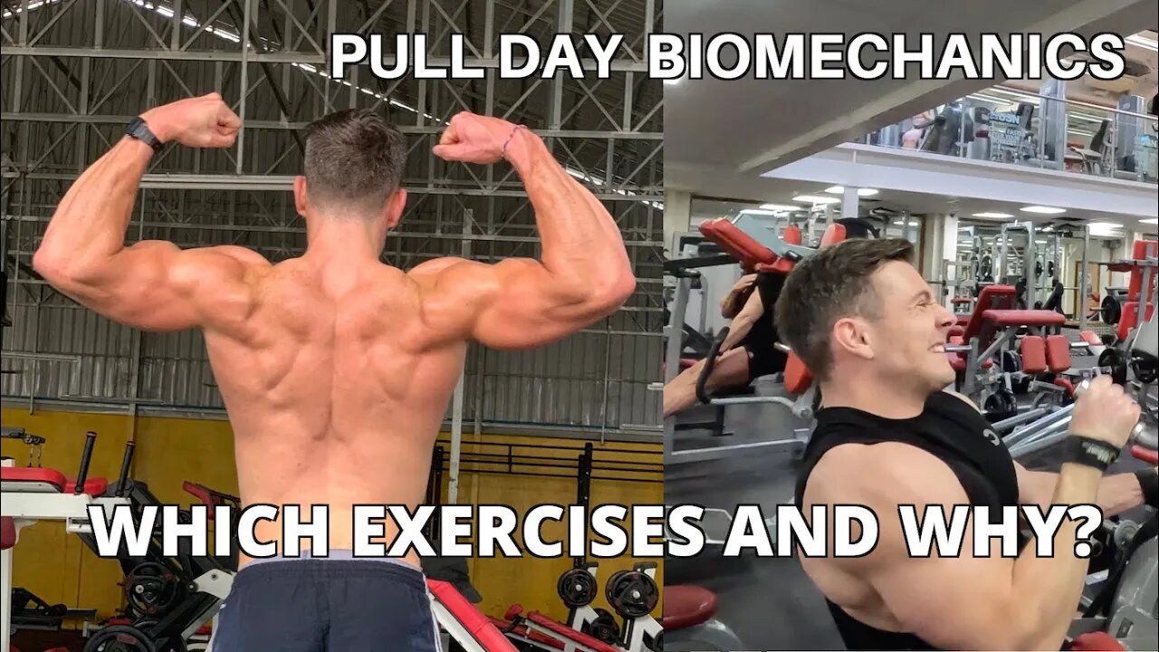 PULL DAY - You Need To Be Doing These Exercises