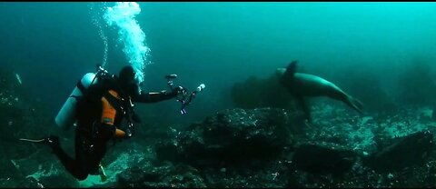 Scuba divers found a sunk ship during underwater photography