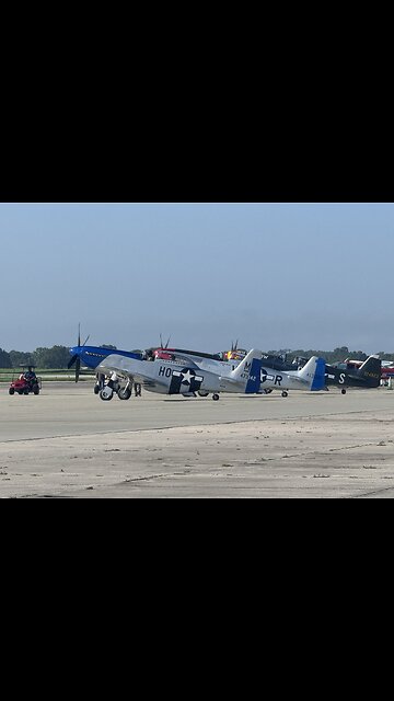 Mustang are just like Apple Pie