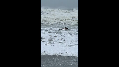 Hurricane Surfing