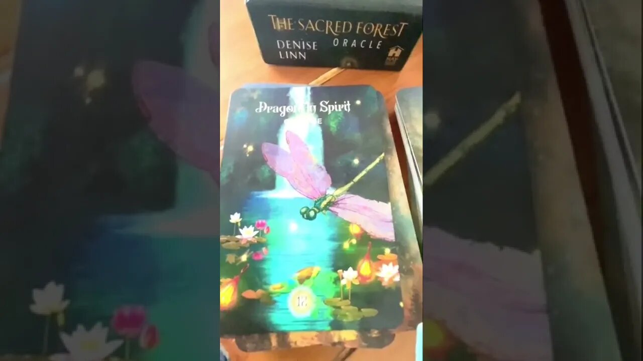 Dragonfly message from the Sacred Forest #oracle #change #shorts