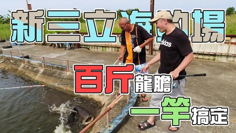 【台客去釣魚】新手入門小班龍膽竿！一竿雙弓百斤龍膽？ feat.新三立海釣場