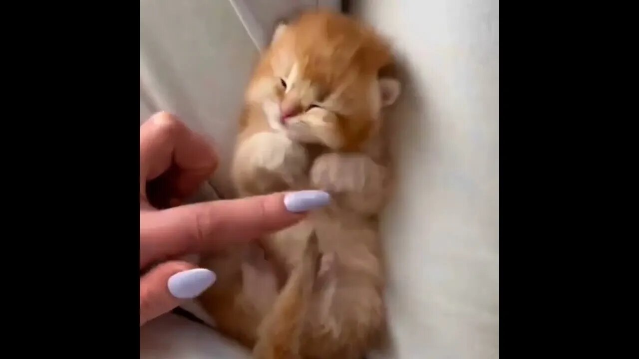 #SUBSCRIBE PLEASE - INCREVA POR FAVOR