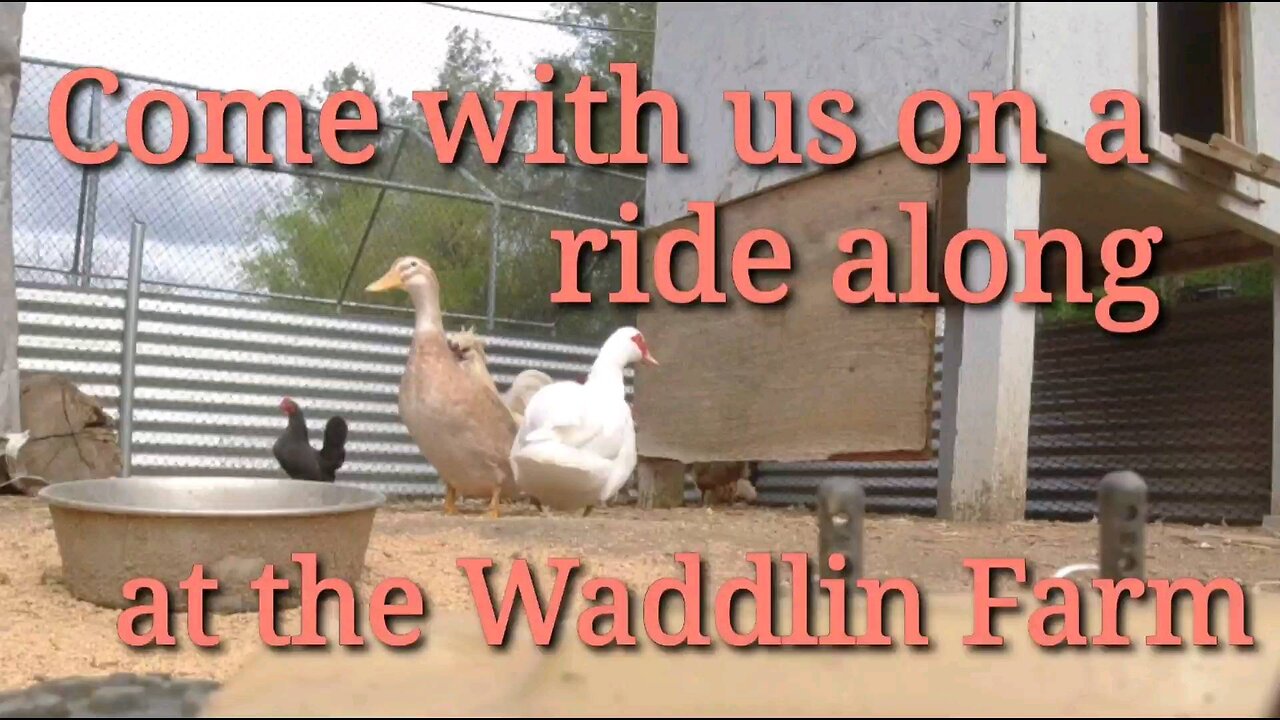 Come with us on a ride along at the WaddlinFarm "rc 10th scale"