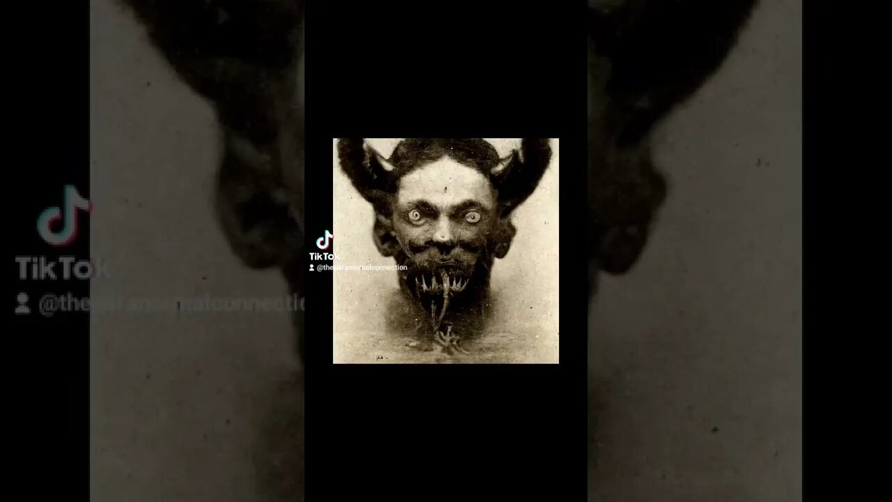 Vampires 🧛‍♀️ 🧛‍♂️