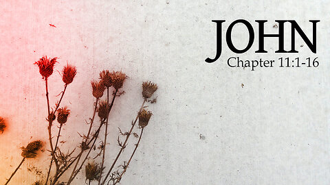 John 11:1-16 Sunday Teaching (4-23-23) Pastor Greg Tyra