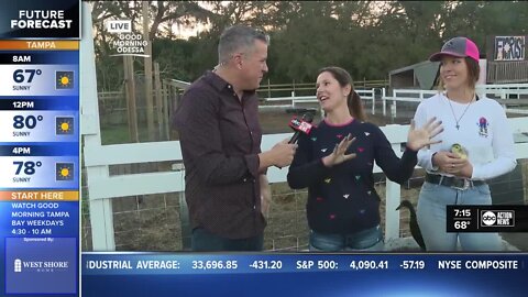 Sean Daly live at Raprager Family Farms