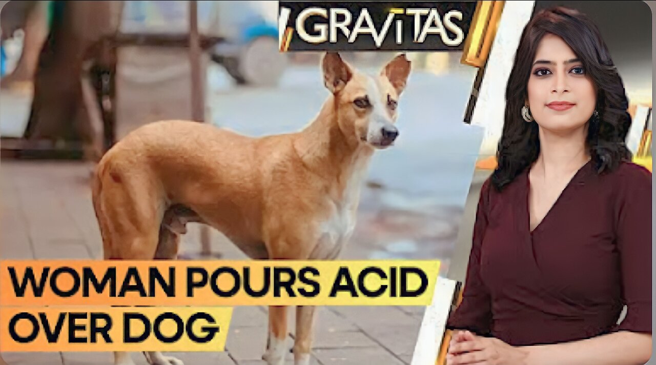 Gravitas: 35-yr-old woman arrested for throwing acid on a dog |