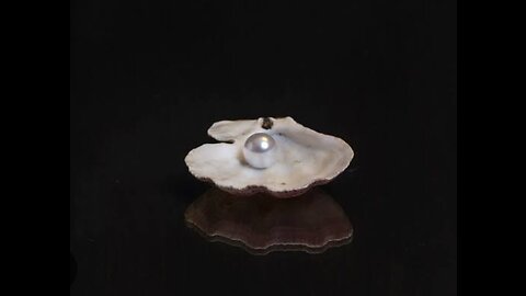 PEARL OF GREAT PRICE TESTIMONY!