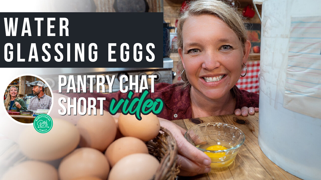 Water Glassing Eggs | Pantry Chat Short