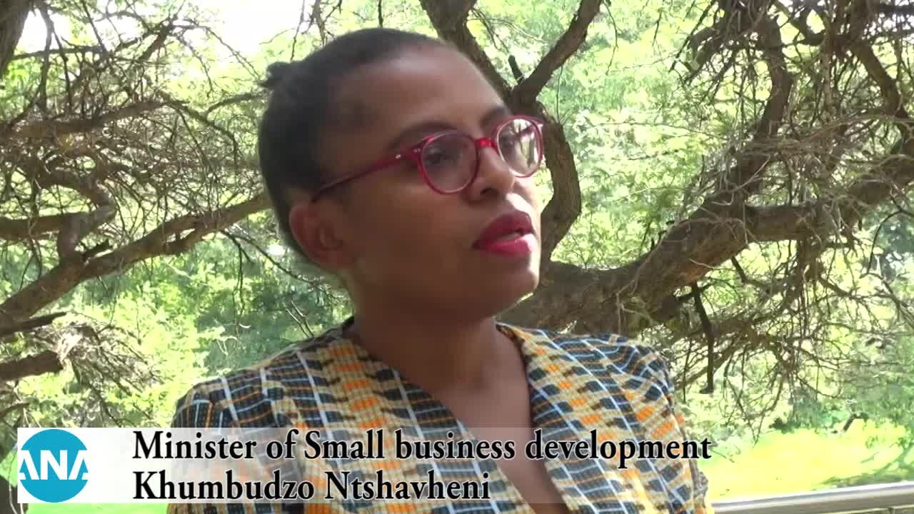 South Africa – Johannesburg – Minister of small business development (goy)