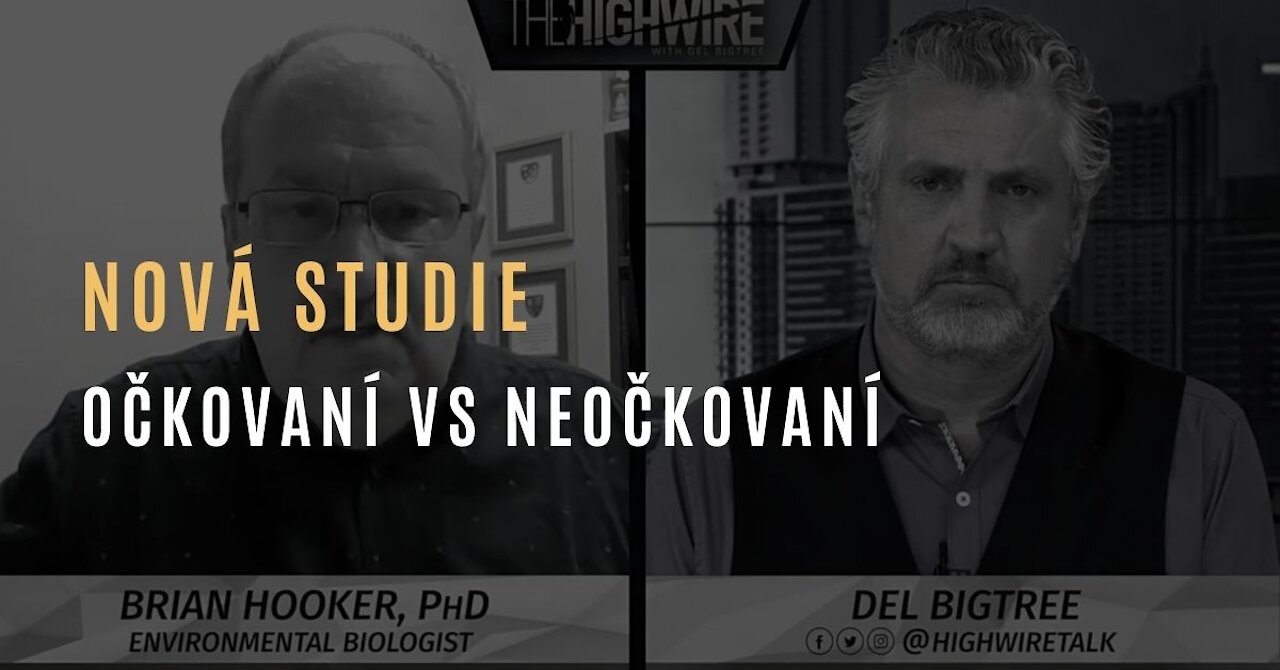 Studie po srovnání zjistila: Očkované děti trpí více nemocemi