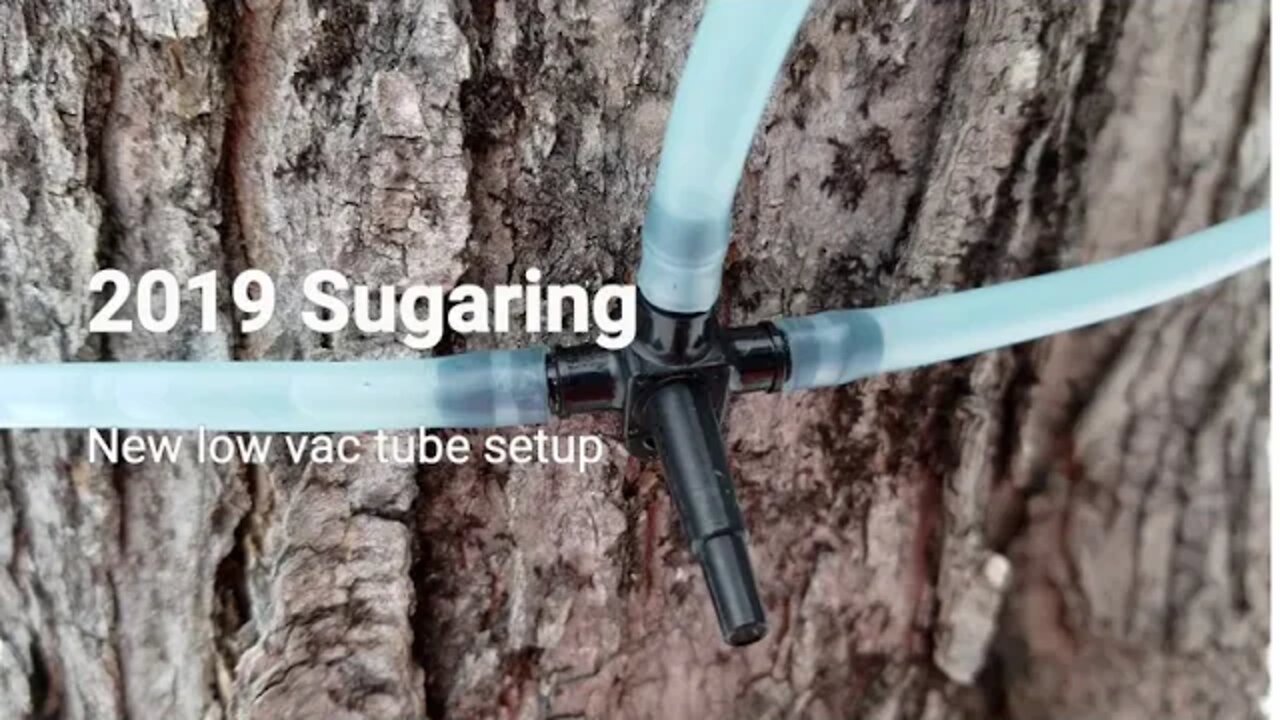 2019 Sugaring