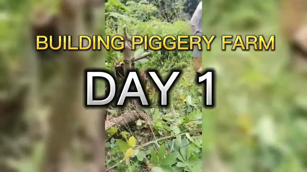 BUILDING PIGGERY FARM Day 1: PAGTATABAS SA NABILING LUPA // Katas ng Taiwan - Aron Sedanto