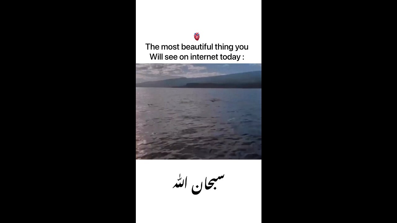 The most beautiful thing you will see on internet today 🫶🏻