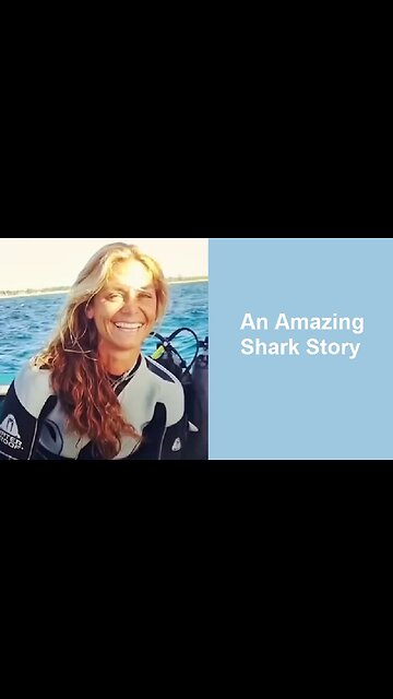 An Amazing Shark Story