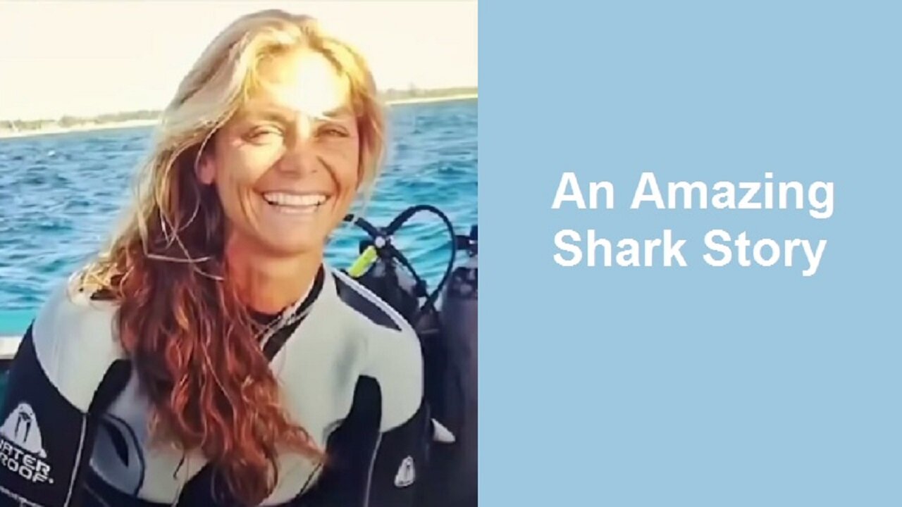 An Amazing Shark Story