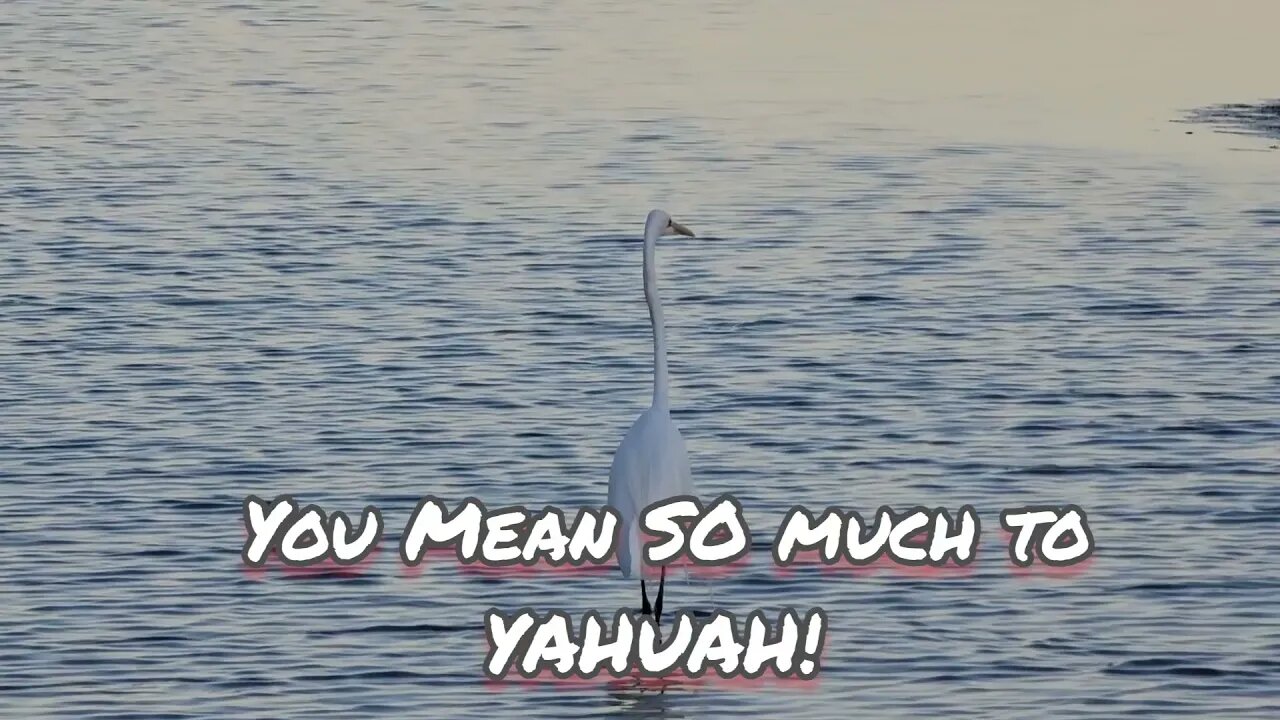 You Mean SO Much to YAHUAH!