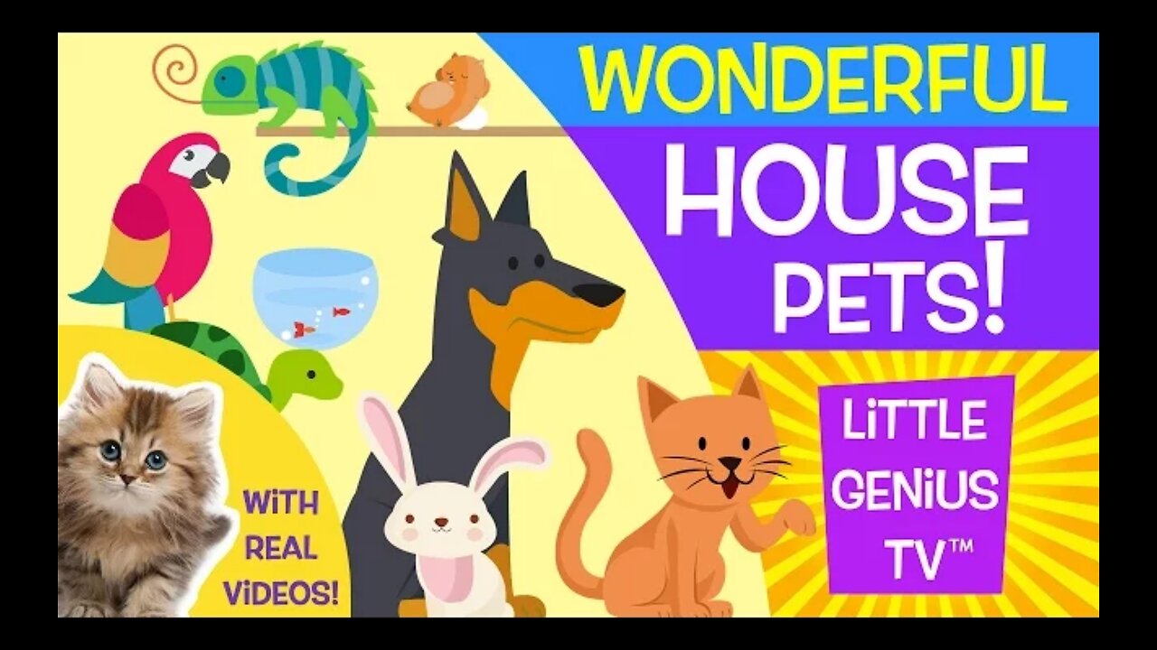 House pets ! Videos for babies toddlers kids