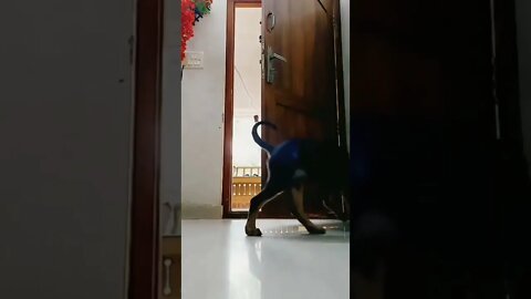 Mission Accomplished ...entering & closing a Portal