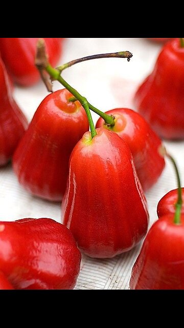 wild rose Apple milkshake WOW enjoyed 😍😍