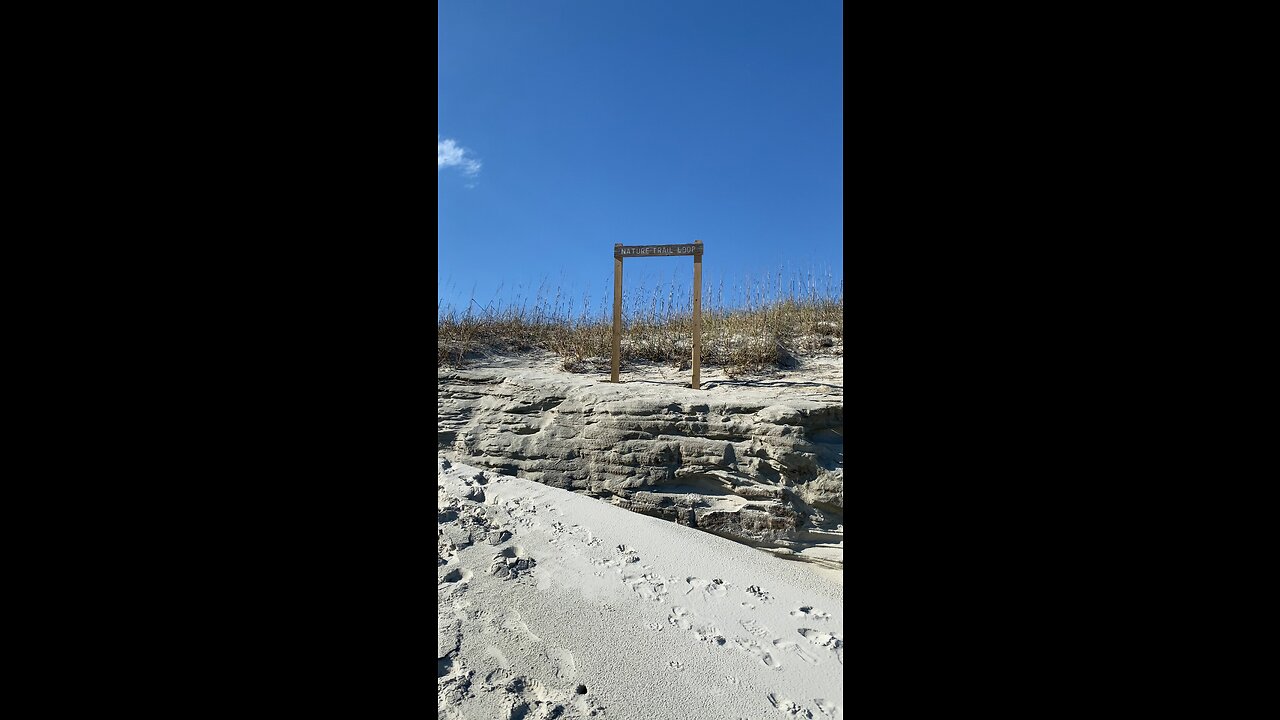 Walking trail on Bird Island in Sunset Beach